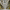 DOANH NGHIỆP CUNG CẤP DỊCH VỤ LƯU KHO, LƯU BÃI CẦN CHỨNG NHẬN GÌ?