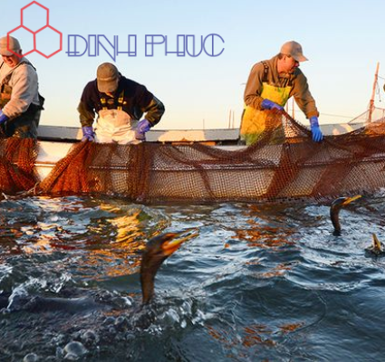 DN Đánh Bắt Thủy Hải Sản Cần Chứng Nhận Gì? 
