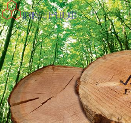 FSC là gì? Vì sao FSC quan trọng với ngành gỗ?